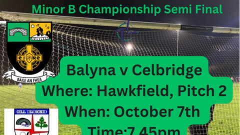 Balyna Minors advance to Semi Final of Championship