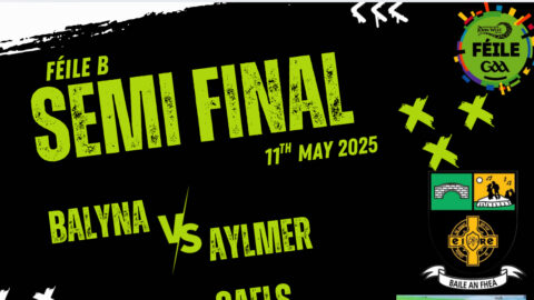 Balyna Féile Team progress to the Semi Final